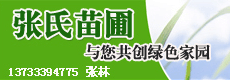苗木資訊_花卉資訊_花木頻道