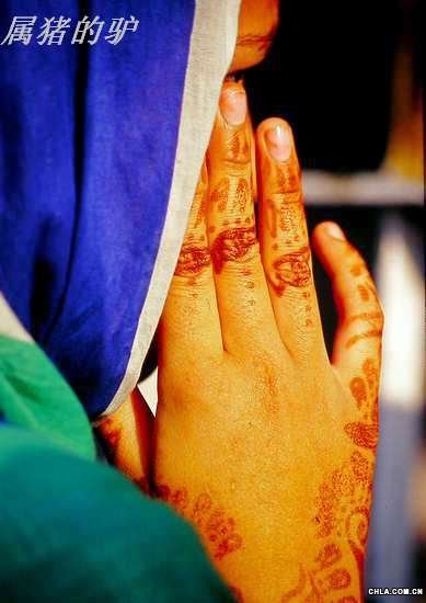 �ͻ�˹̹�DŮϲ�g�����Ϯ���Ư���ĈD��