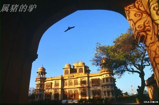 ������{�ʾ�