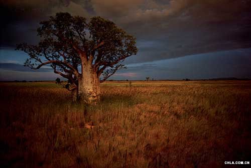 ���ȼӠ�����������