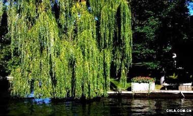 �������������������L��DƬ