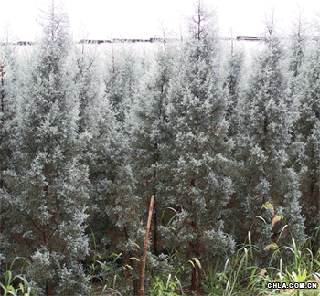 ��(y��u)���~��N-----�{����