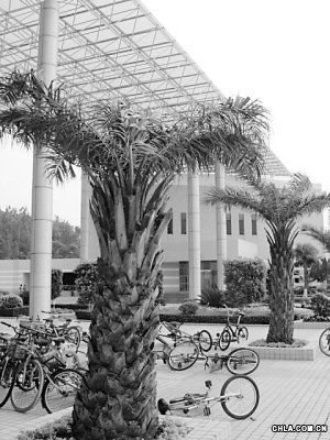 �����N�ܘ�pʧ��ǧ�f