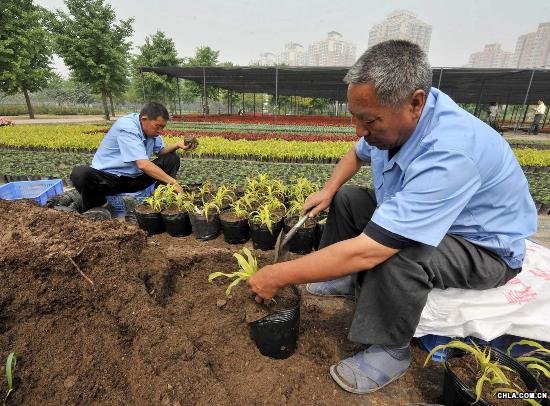 �����ˆT�ڱ����Ј@�ֿƌW(xu��)�о�����������?sh��)W�\(y��n)���ܡ��^�p���ӡ���