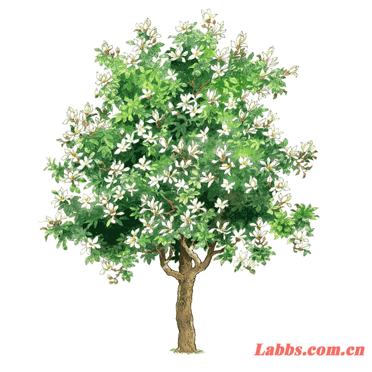 ���Lֲ��D�����ɻ����m