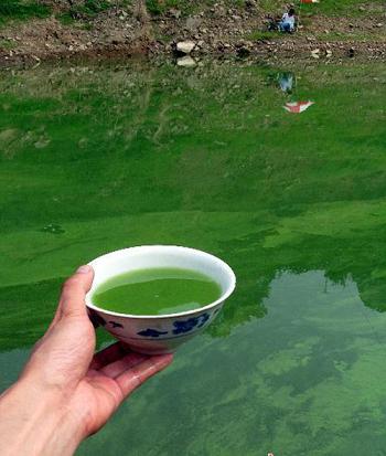 ���{��^(q��)֧�����׵V���۱��l(f��)ˮ�A