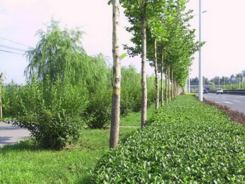 �C(j��)�Ǹ��x���G��