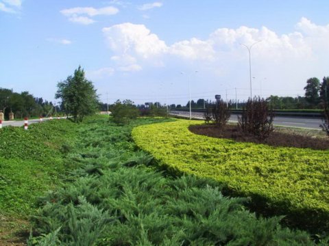 �R����|����(c��)�l�ξG��