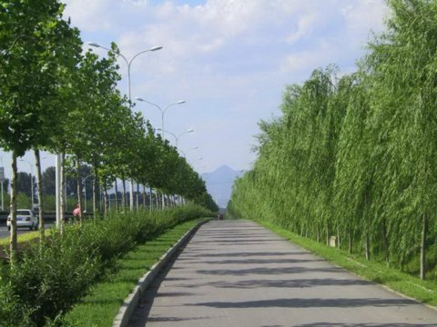 �ǙC(j��)��(d��ng)܇���ɂ�(c��)�G��