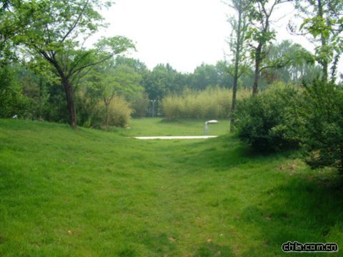 ���޽���Փ������Փ����ַ���O�ȭh���G�����칤��