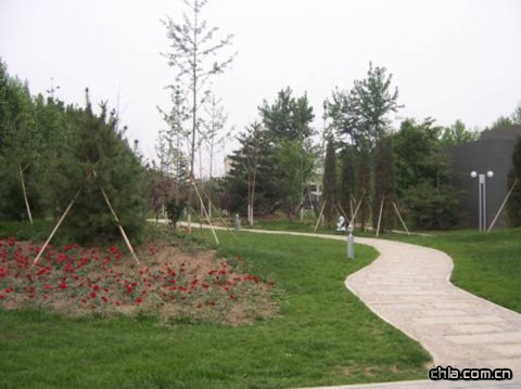 ���޽���Փ������Փ����ַ���O�ȭh���G�����칤��