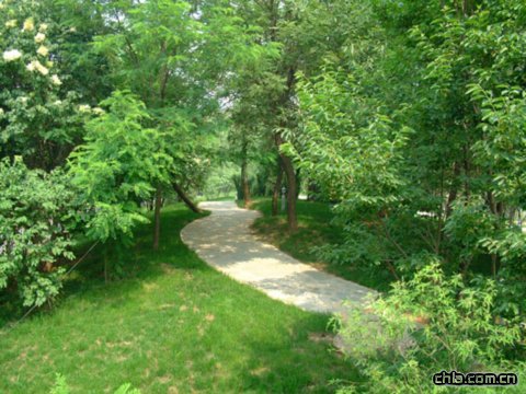 ���޽���Փ������Փ����ַ���O�ȭh���G�����칤��