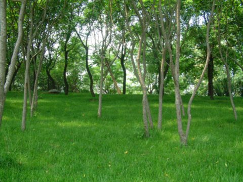 ���޽���Փ������Փ����(hu��)ַ���O(sh��)��(n��i)�h(hu��n)���G�����칤��