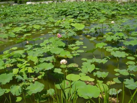 ���޽���Փ������Փ����(hu��)ַ���O(sh��)��(n��i)�h(hu��n)���G�����칤��