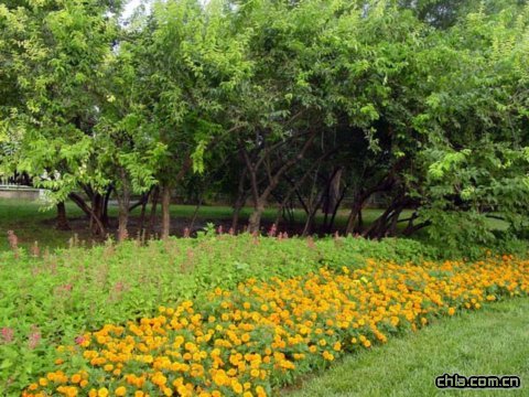 �W��ƥ�˾��^����G��