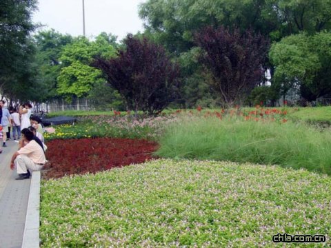 �W��ƥ�˾��^����G��