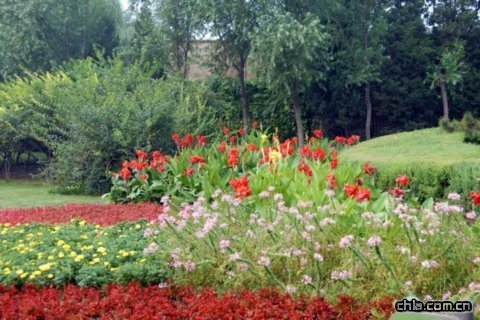 �������^���ܡ��Gɫ�W�\��