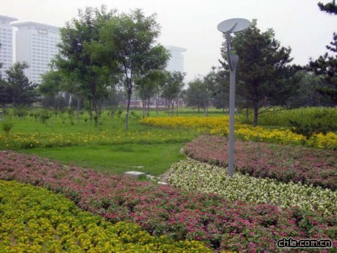 �B���G��