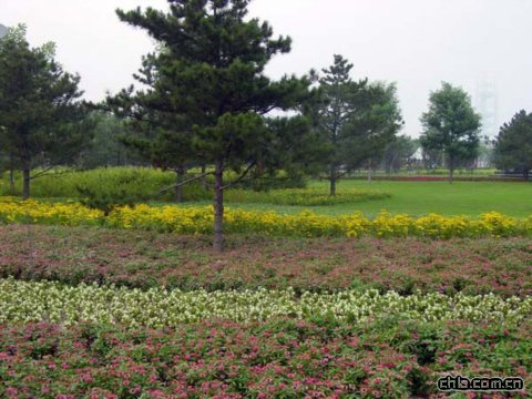 �B���G��