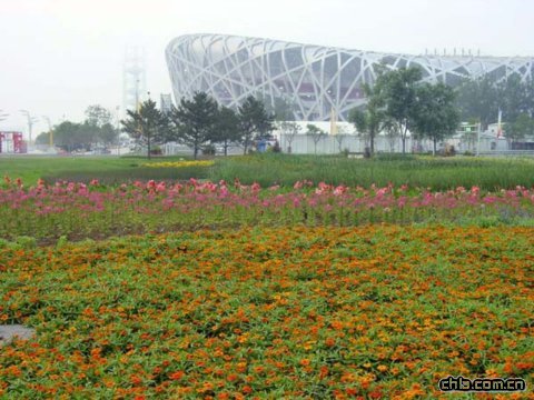 �B���G��