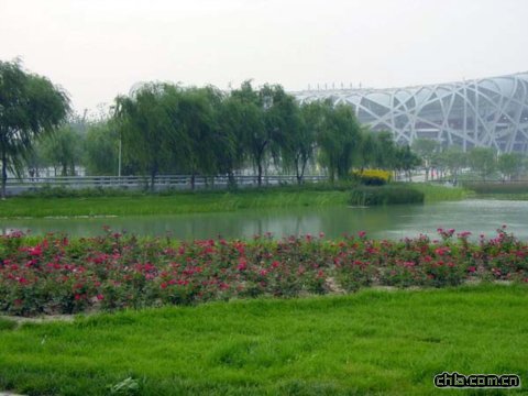 �B���G��