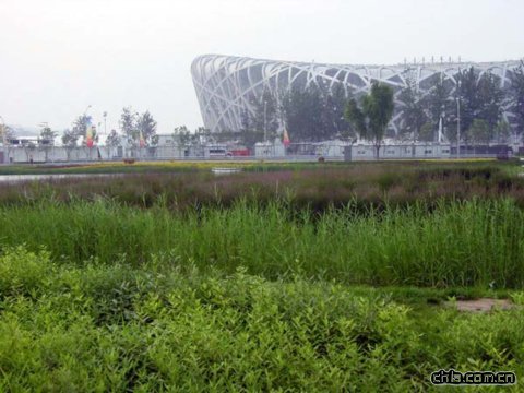 �B���G��