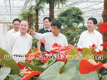 創新讓草橋成為“最美的鄉村”