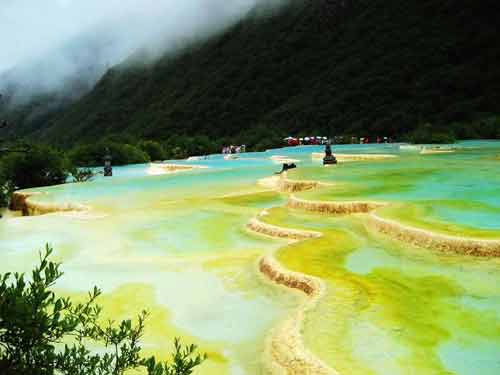 �c������D