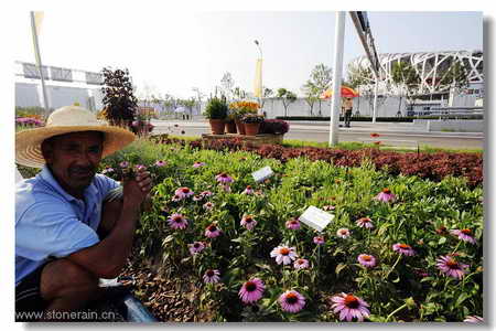 ���R�������B����