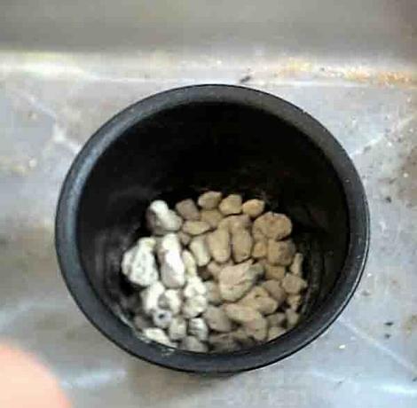 �ְ��ֽ��㲥�N