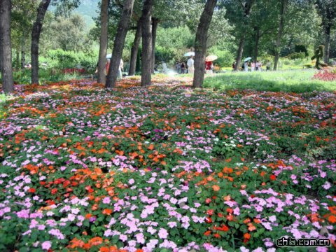 北京植物園