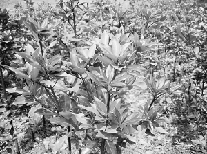 �����^�~�^���G����N�����t�