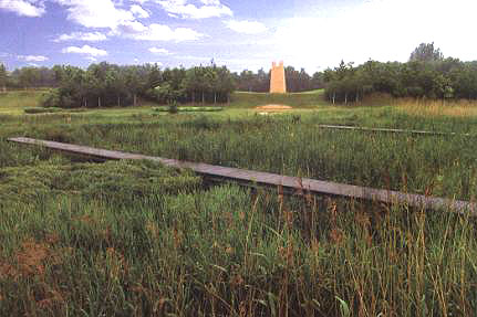 ���}�A����ˮ�����(y��u)ֲ��Ʒ�N��