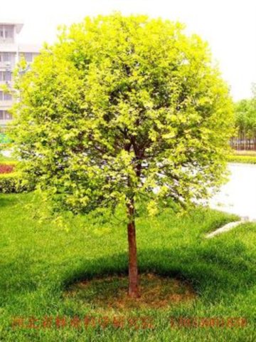 ���A���~��