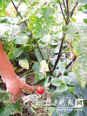 ����������ͻ׃�L�����t��