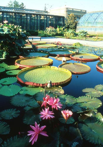 長(zhǎng)木花園