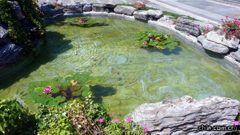 �W�\(y��n)��