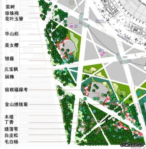 鳥(niǎo)巢景觀設(shè)計(jì)-西南觀眾入口