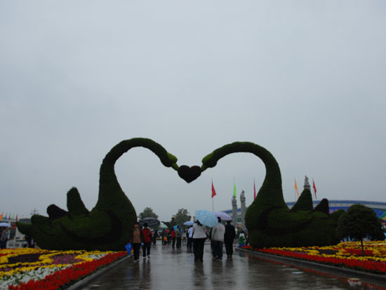 ���w�����������Z