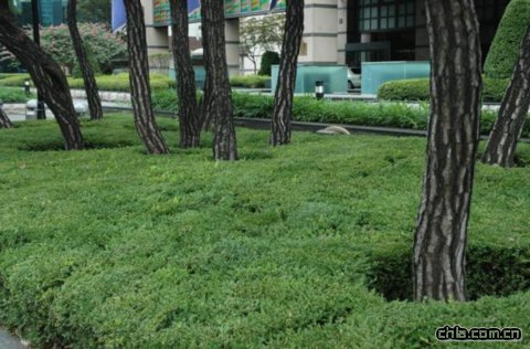 �p�������U��������ֲ�������޼���ģʽ