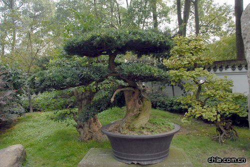 �ؑc��ɽֲ��@�辰�@��(n��i)�辰