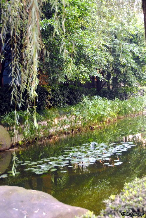 �ؑc������A��