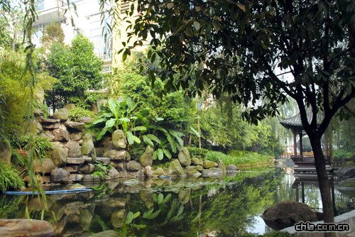 �ؑc������A��