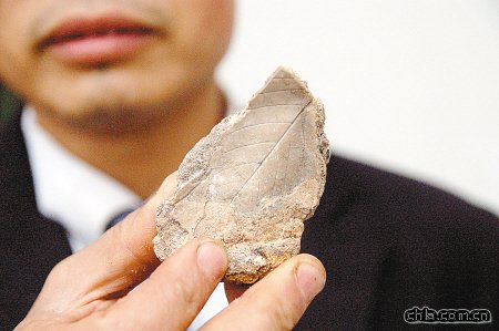 ����l(f��)�F(xi��n)ֲ�ﻯʯȺ ���������3�f(w��n)��5�f(w��n)��