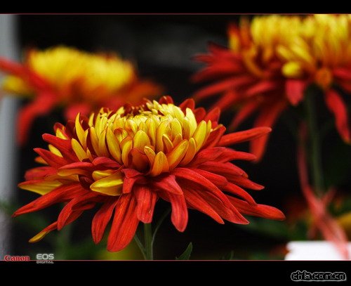 �ջ��ļ��_�����g(�D)