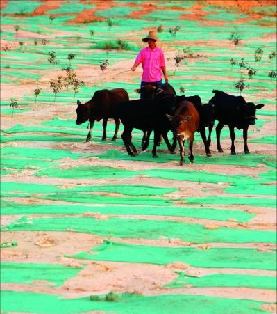 �V�|�|ݸһ��ĵ�䁾G�W��ָ�����l�Ǚz�y