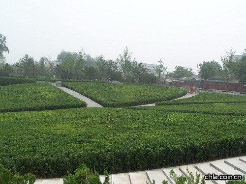 ���Ҵ�Ժ�h���G������