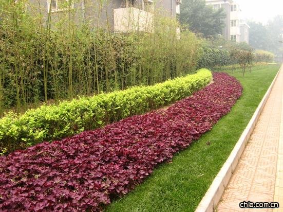 �����f��·��߅�G������