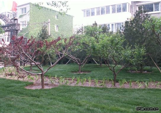 �����f��·��߅�G������