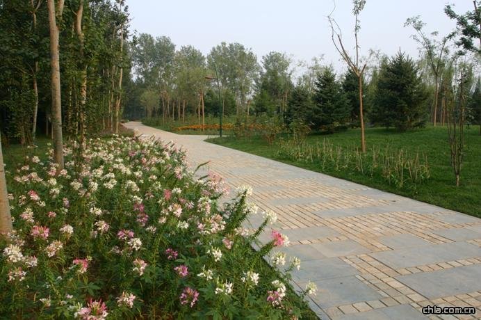 ������Ȫ���@һ�˶ξG������